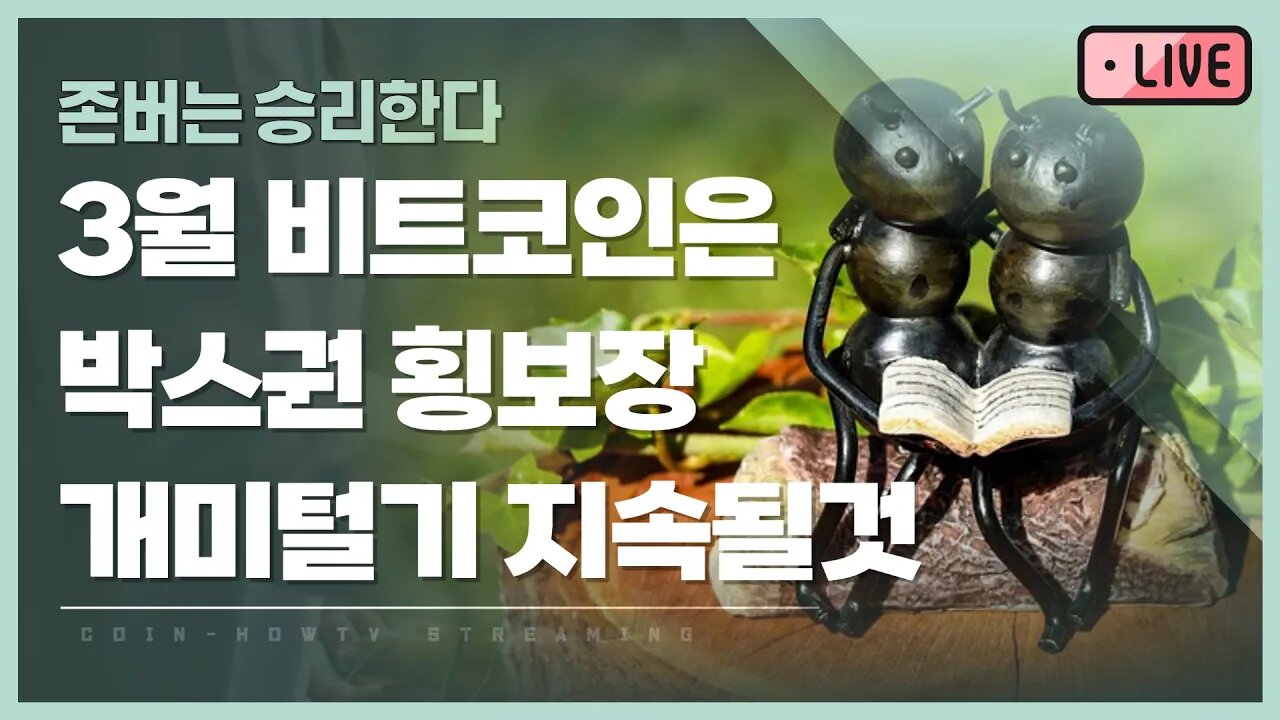 3월엔 박스권 횡보장! 개미털기 지속 될 것!|존버는 언제나 승리한다 희망회로 가즈아! analysis of bitcoin|비트코인 실시간 방송 쩔코TV