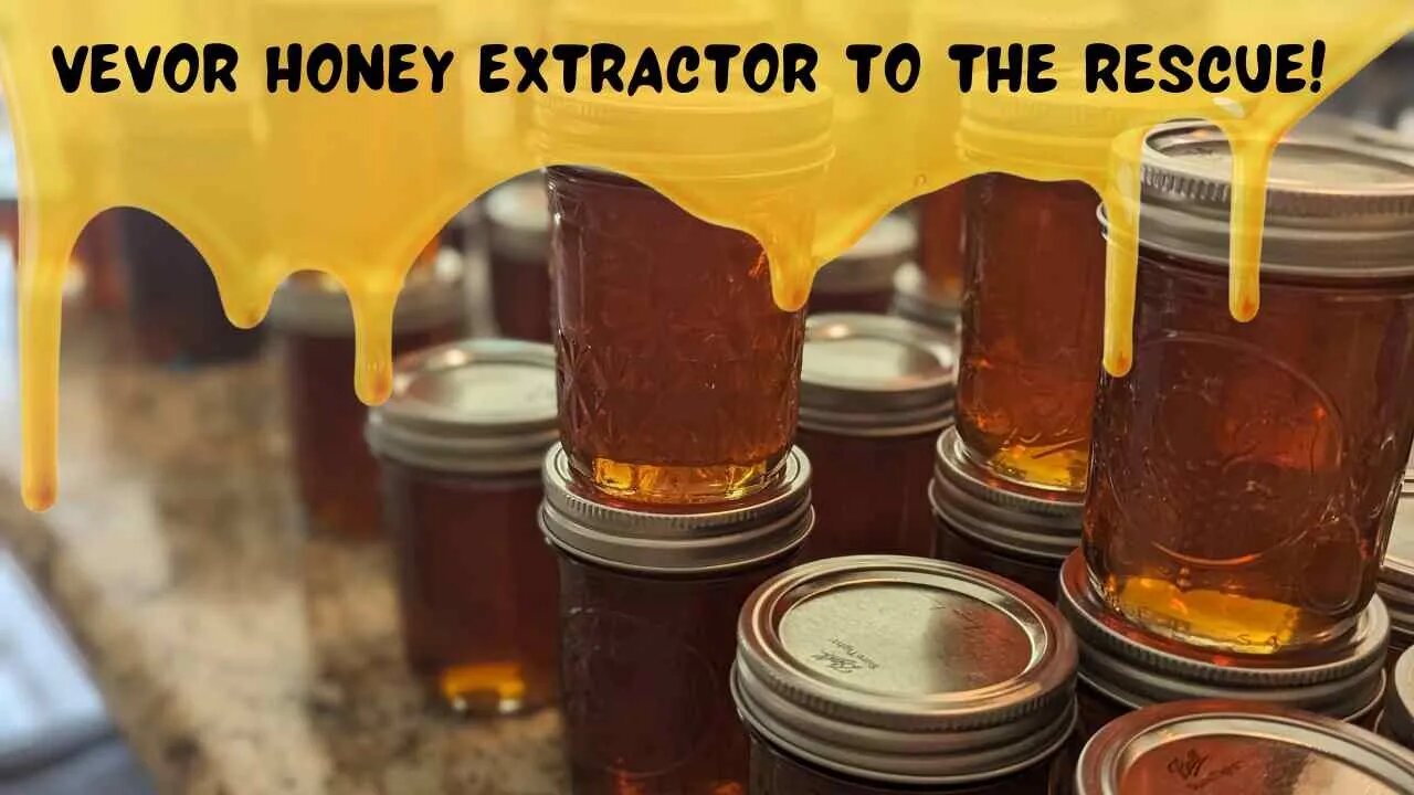 Harvesting Honey: Unlocking the Sweet Rewards with a Honey Extractor from Vevor