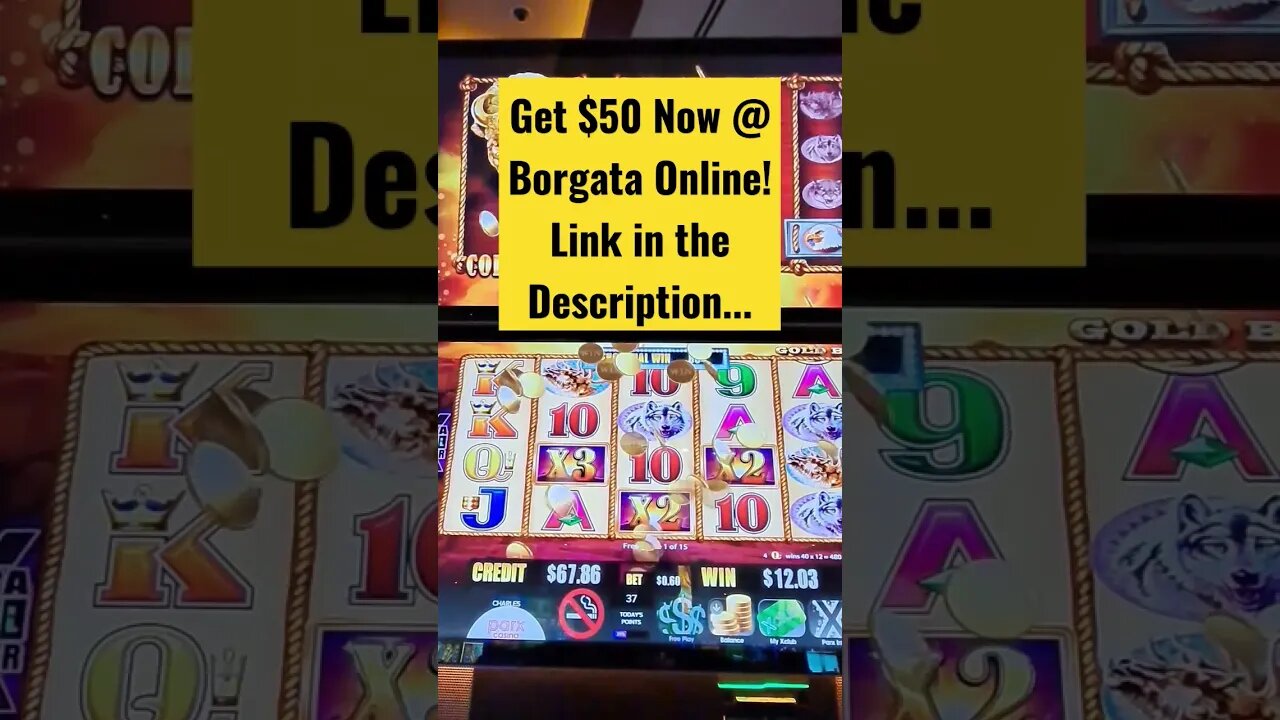 OMG! Buffalo Gold Collection Does it Again! Winning Slot Videos With Loud & Local!!!