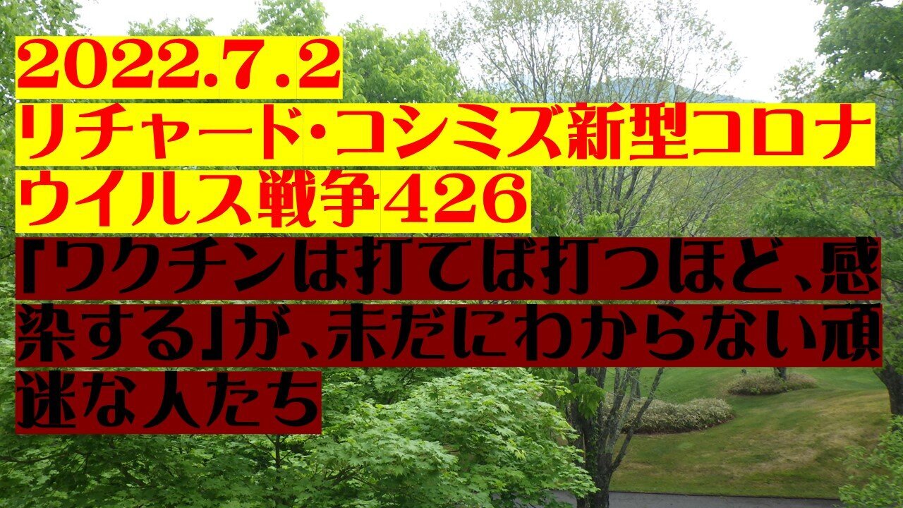 2022.07.02 リチャード・コシミズ新型コロナウイルス戦争４２６