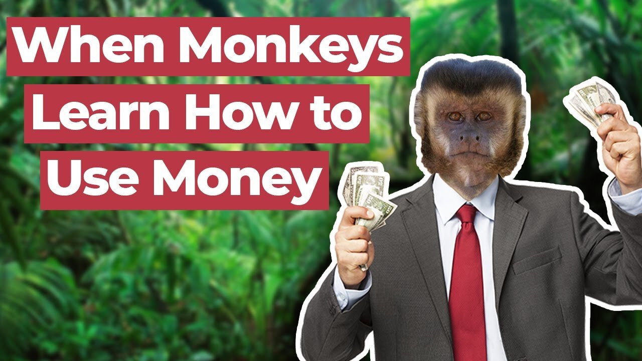 What Happens When Monkeys Learn how to Use Money¿