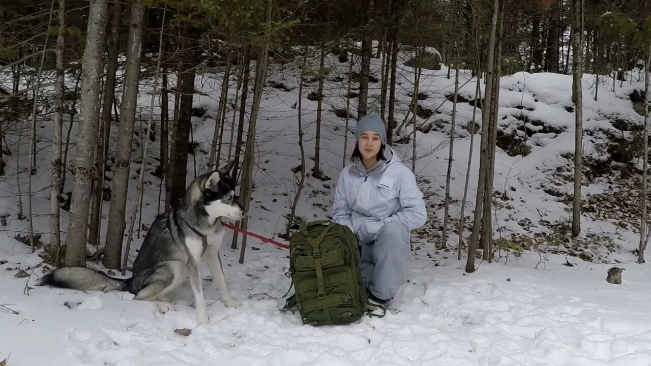 vWinter Bushcraft: Camping with my Husky (-20⁰C)1