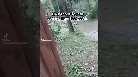 The Sounds