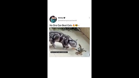 Which clip is your favourite clip