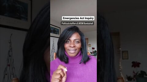Political Staffers & MSM Exposed at Inquiry