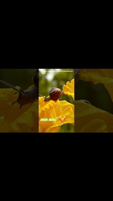 🌄💰Atrae Riqueza Con Tus Pensamientos #shorts