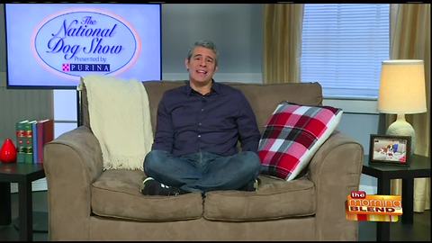 Chatting with Andy Cohen About the National Dog Show