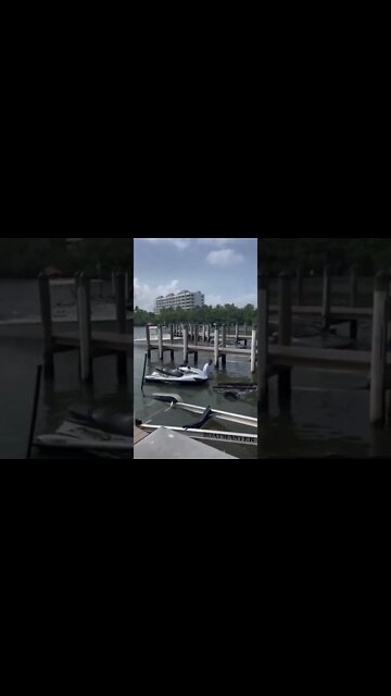 FIRST SUPERDUTY DOWN THIS YEAR?!🤡🌊