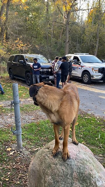 #10 Bowmanville Creek Ontario Poacher Bust