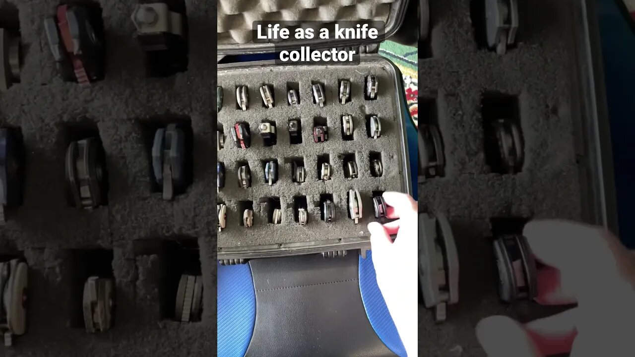 Life as a knife collector #knives #knifecollection