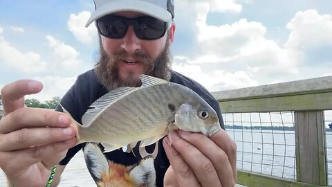 (Take 2) 100F Fishing Mission: Haven’s Garden, NC