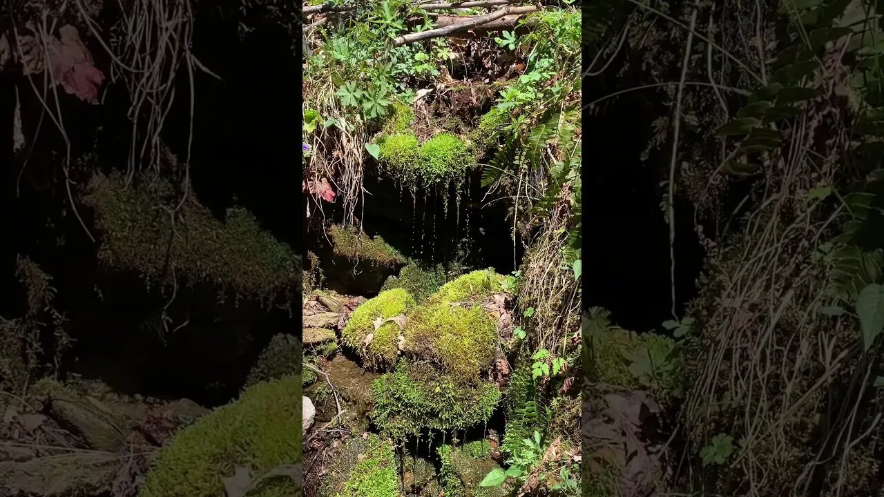 Lovely natural spring in Western North Carolina