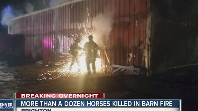 16 horses killed in barn fire on Powhaton Road in Brighton