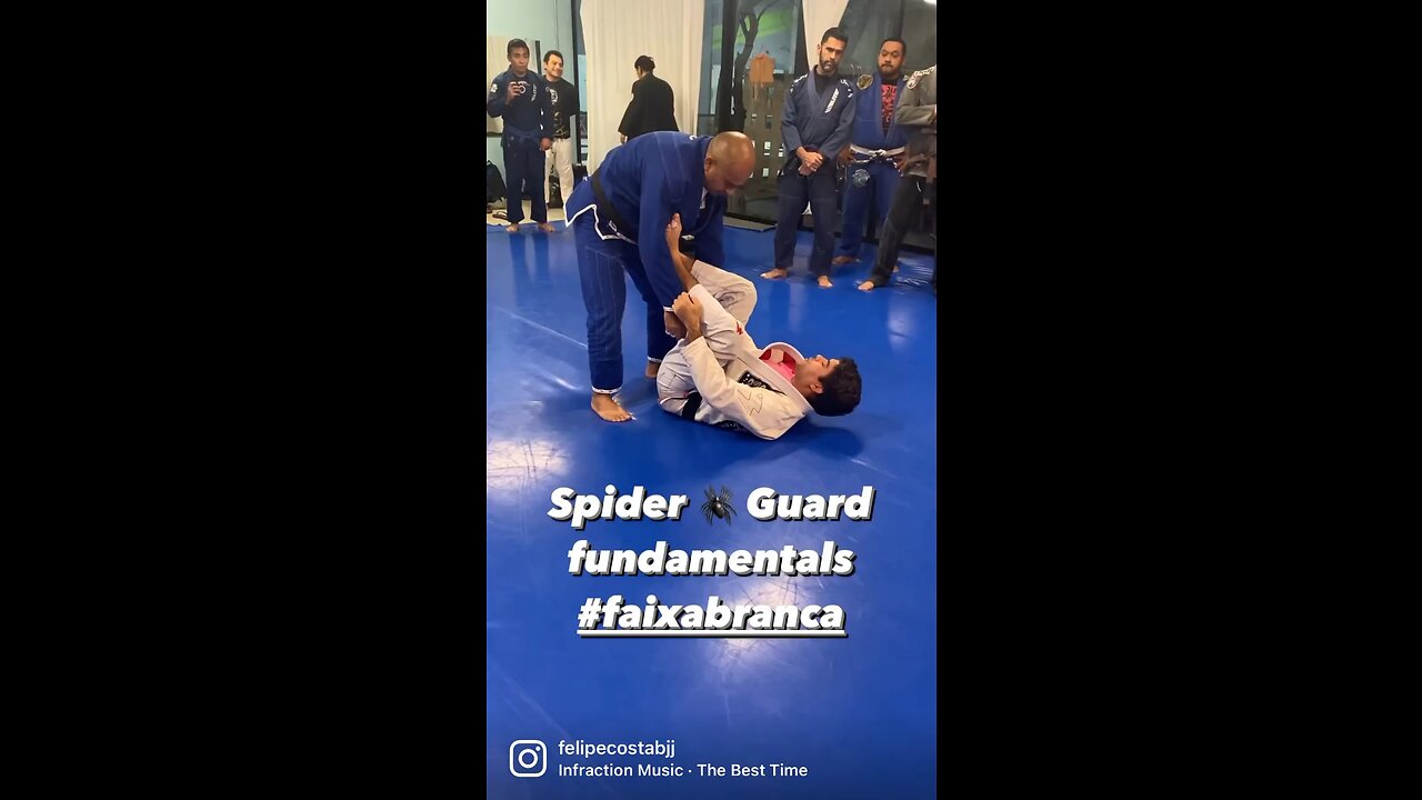 spider guard