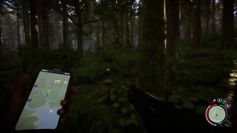 Playing Nitwits' Of The Forest AKA Sons Of The Forest