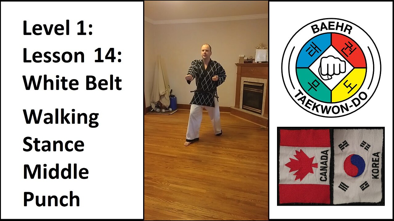 Baehr Taekwondo: 01-14: White Belt: Walking Stance - Middle Punch