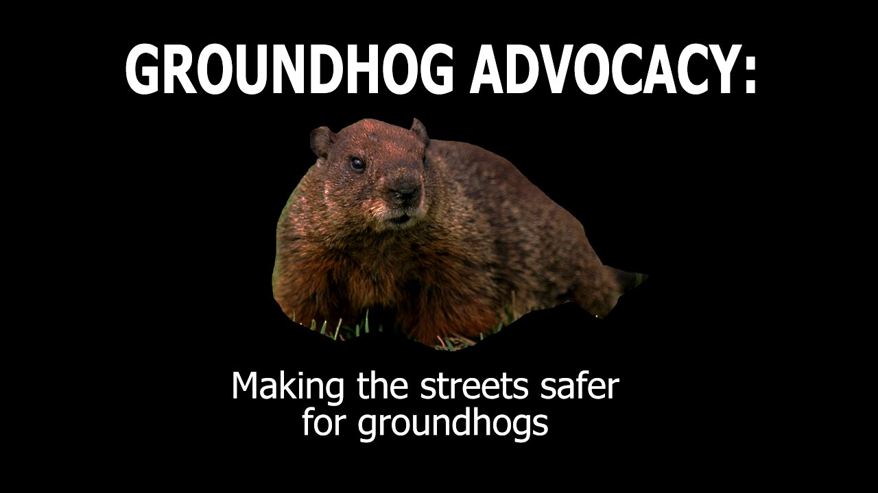 Advocacy for the Awareness of the Safety of Groundhogs