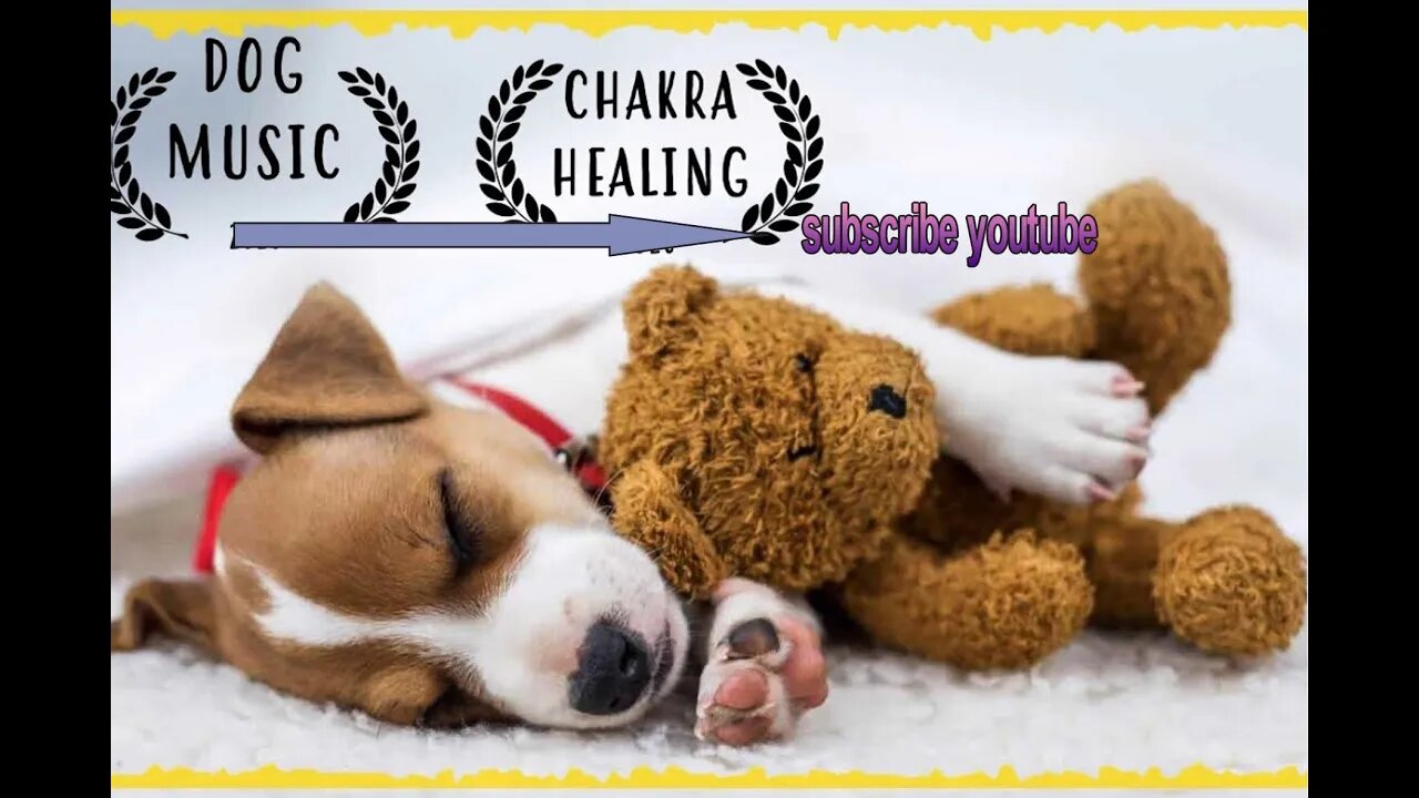 Calming Music For Dogs ~ Soothing Music for Dogs to relax ~ Dog Music to Sleep