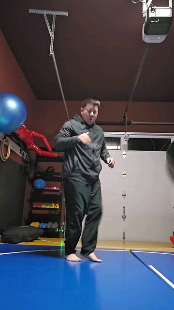 WTD Switchleg Side Kick