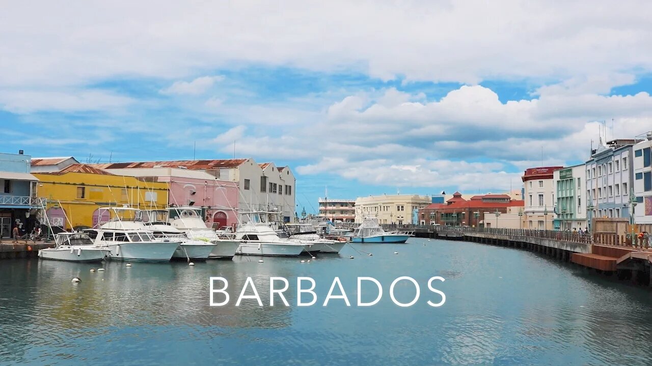 BARBADOS FOR A DAY (PRINCESS CRUISES TRAVEL VLOG)