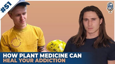 How Plant Medicine Can Heal Your Addictions - Davey Reed | Harley Seelbinder Podcast #51