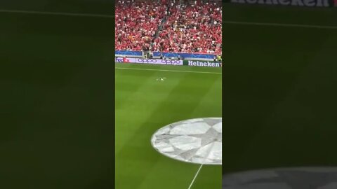 🦅 O voo da águia no estádio do Benfica pela Champions League contra o PSG! Bela apresentação!