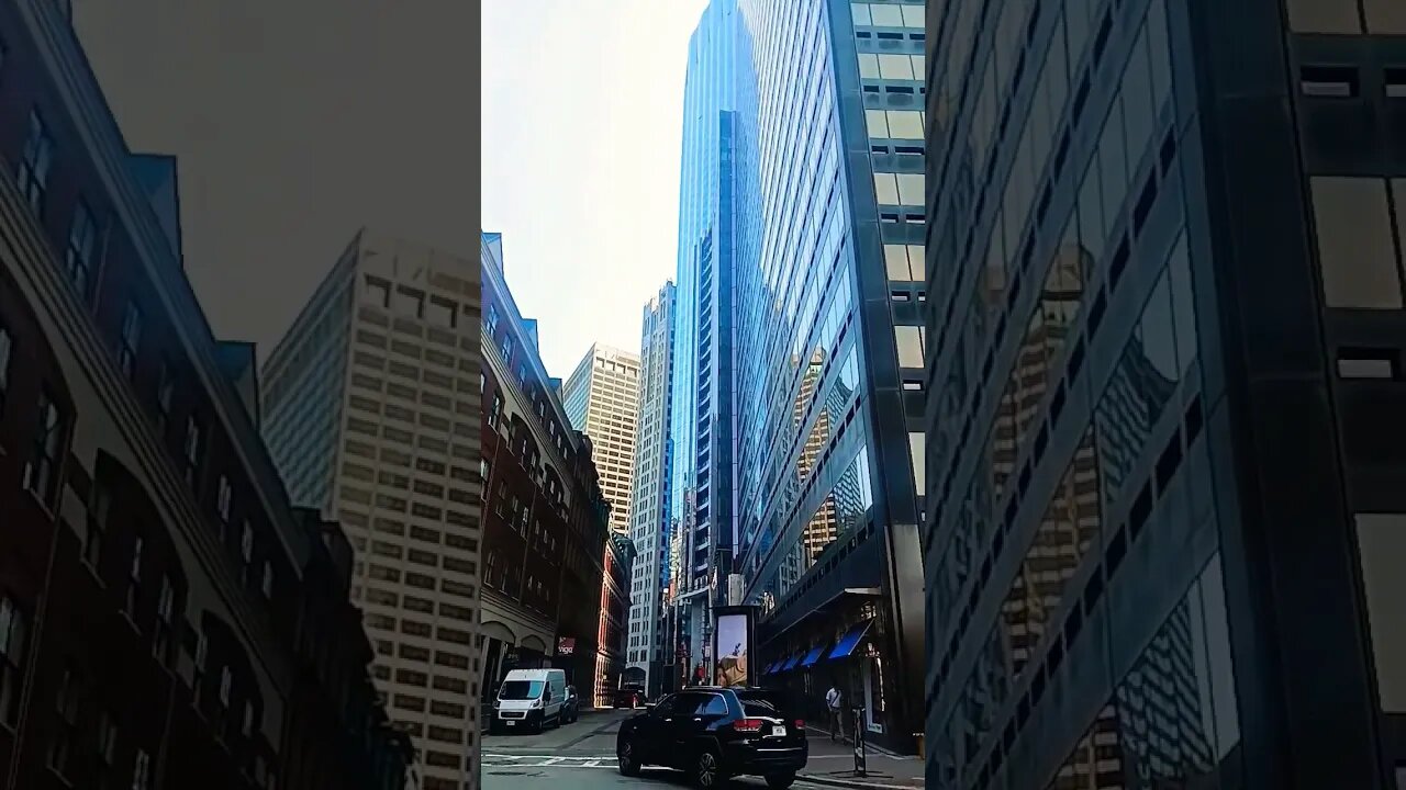 All of the Barbies.#blackyoutube #barbies