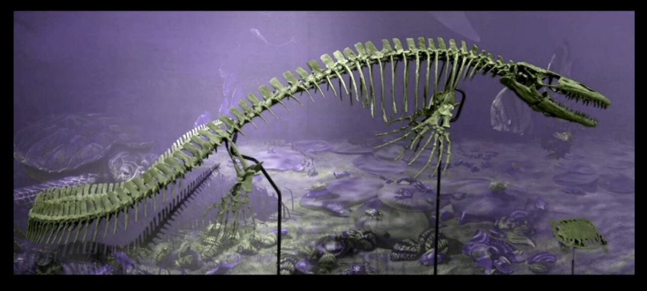 Marine fossils with land animals