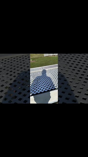 #diy FREE Chicken Tractor Part 2! #howto #shorts