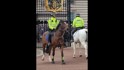 The kings guard fixes tripping hazard #horseguardsparade