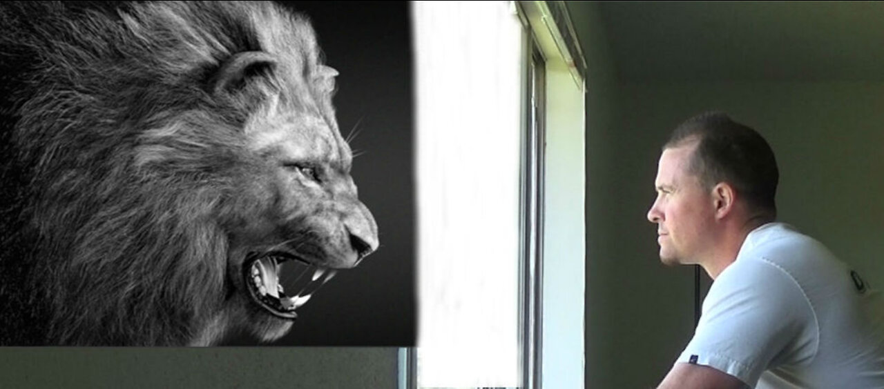 The rightious are as bold as a lion!