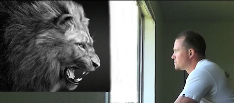 The rightious are as bold as a lion!