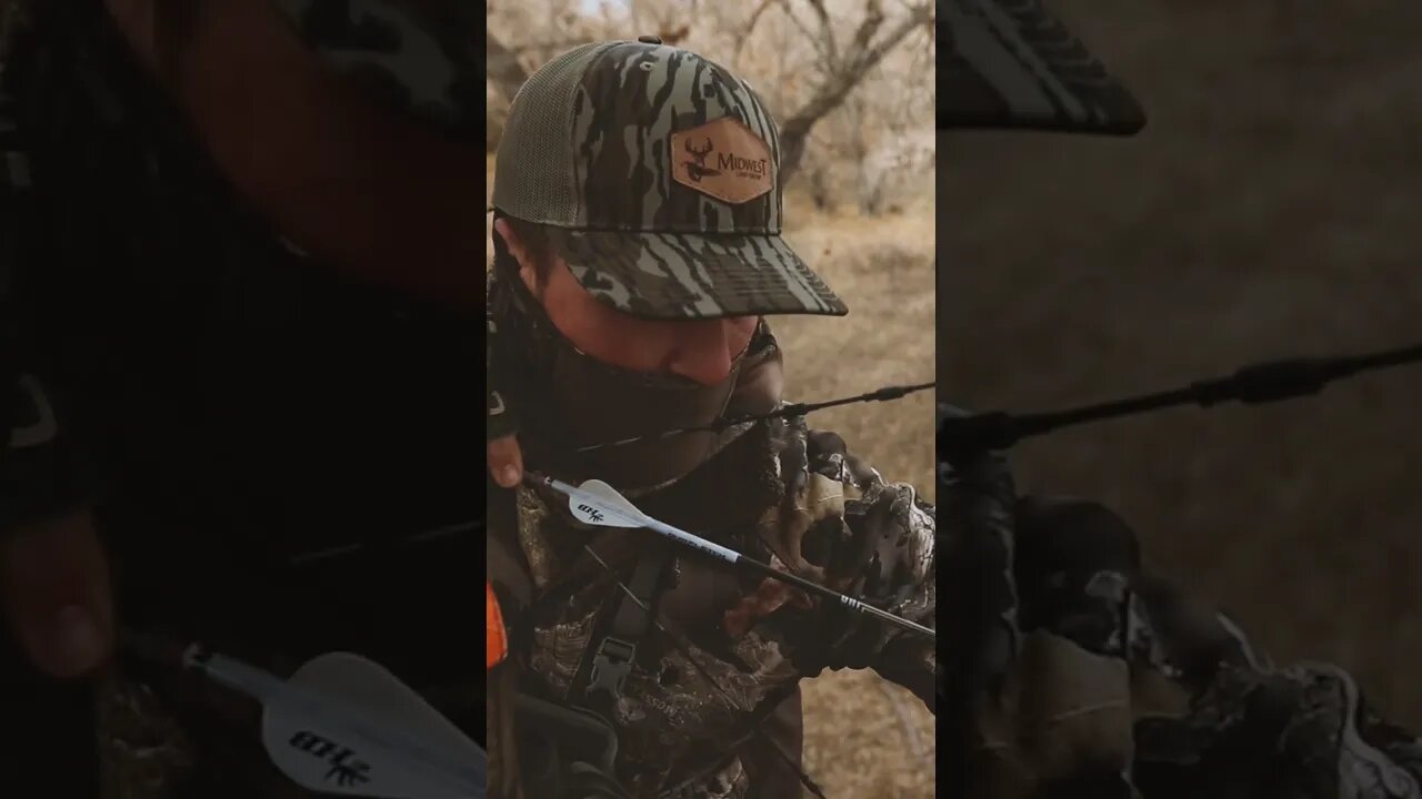 GIANT Colorado Buck Has Mike SHOOK!