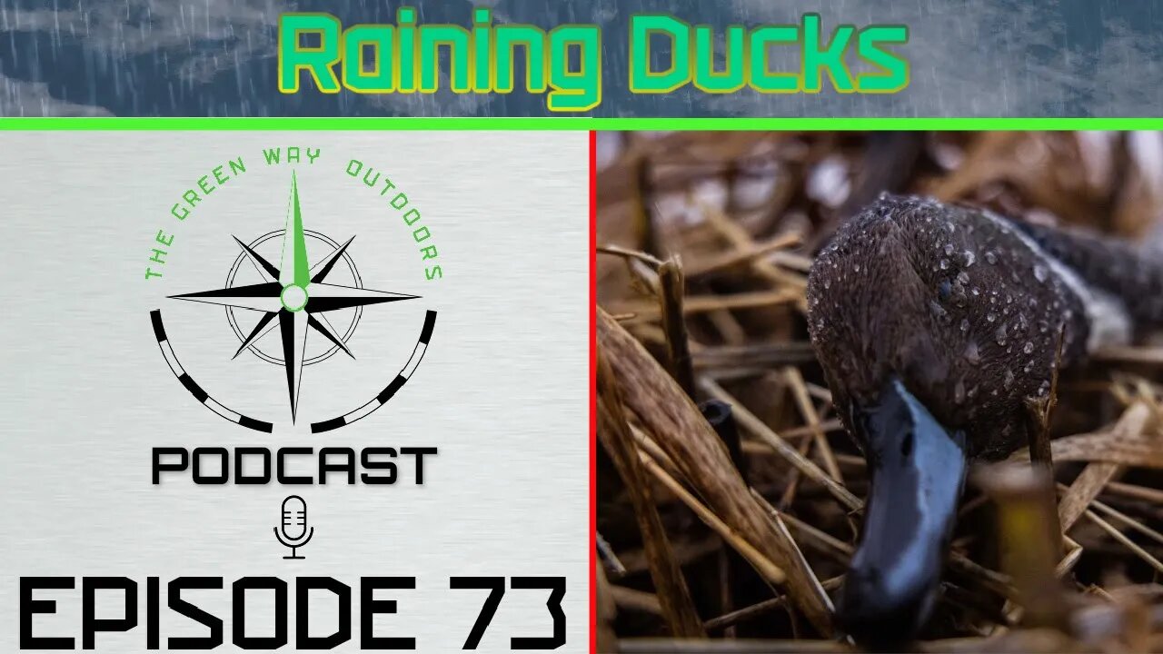 Episode 73 - Raining Ducks - The Green Way Outdoors Podcast