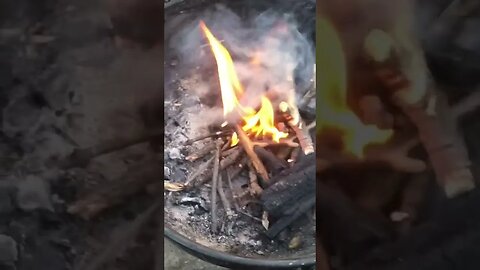 How To 🔥 Every Time