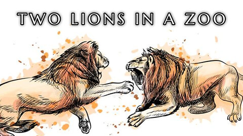 The 2 Lions In The Zoo