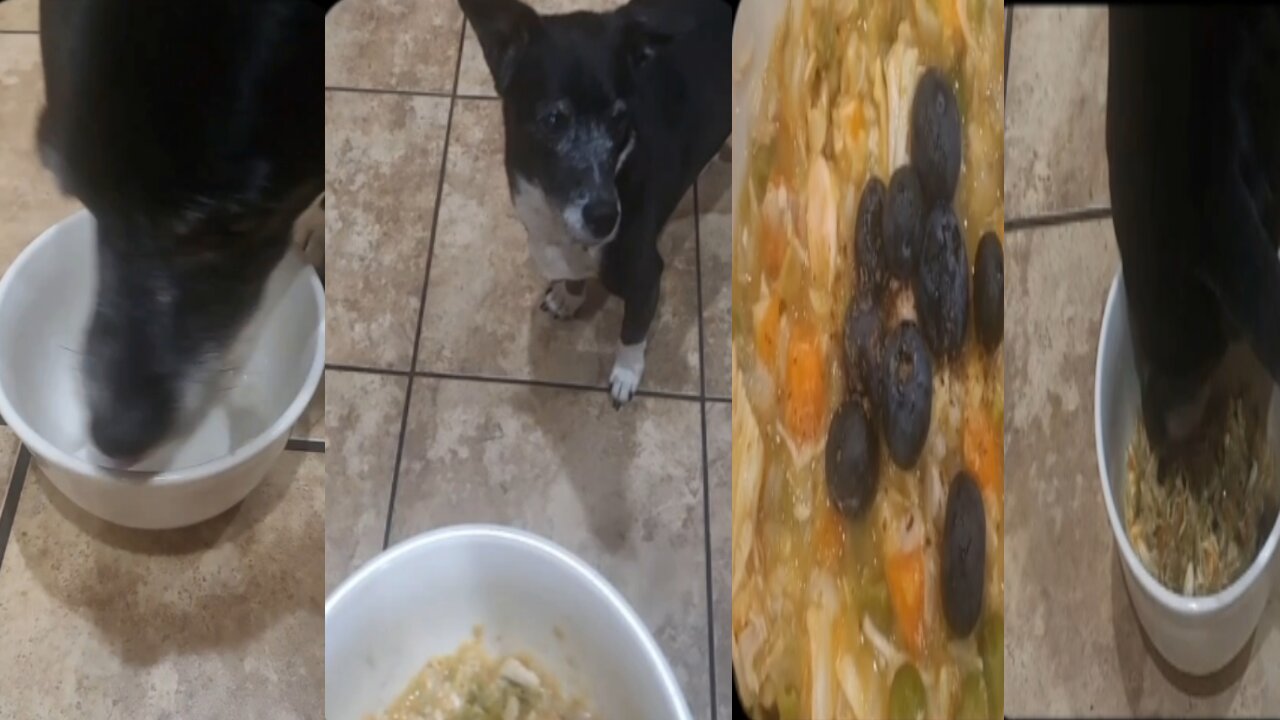 Who needs a subscription when you can be a chef for your senior pups?