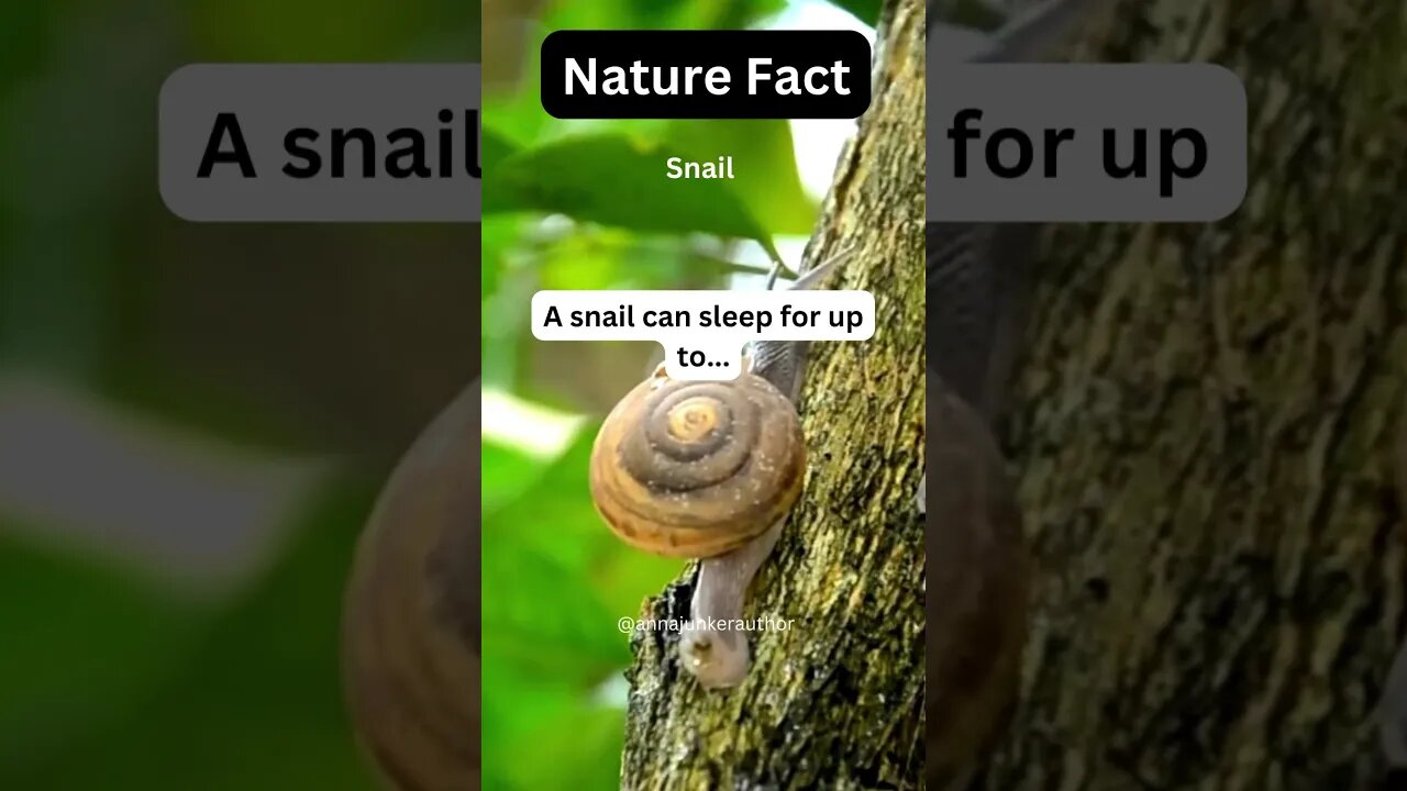 OMG… True Facts About Snails! #shorts #animalfact #naturefacts