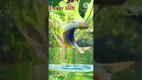 funny fish..#photoediting #video