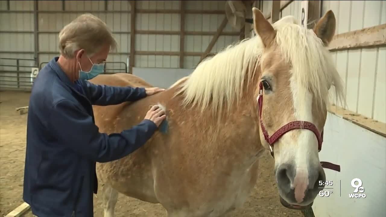 St. Elizabeth's employees enjoy horsing around