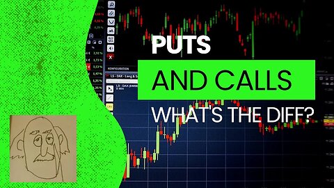 What are Puts and Calls?