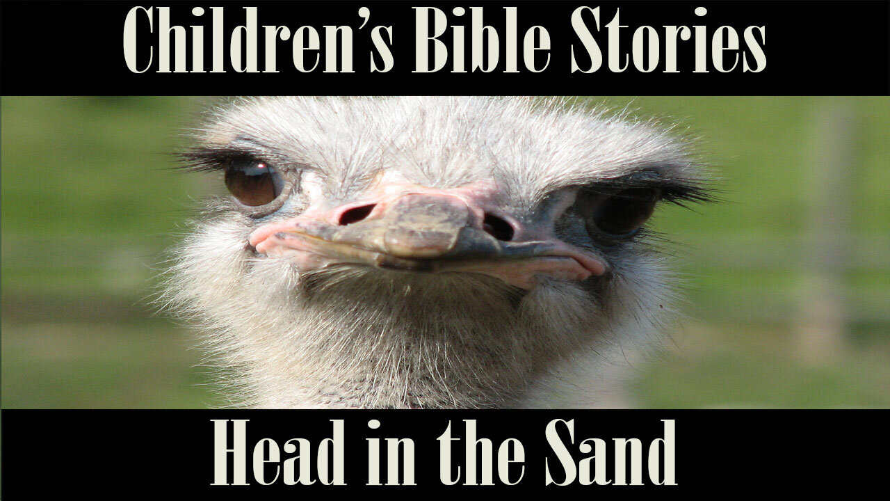 Children's Bible Stories-Head in the Sand