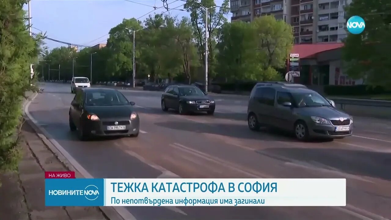 Шофьор с книжка от 3 месеца уби момче и момиче на пешеходна пътека в София