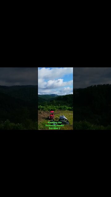 Wild and Wonderful WV