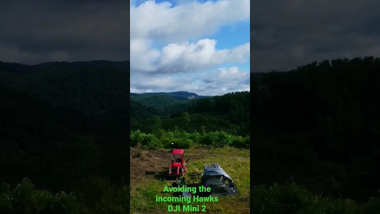 Wild and Wonderful WV