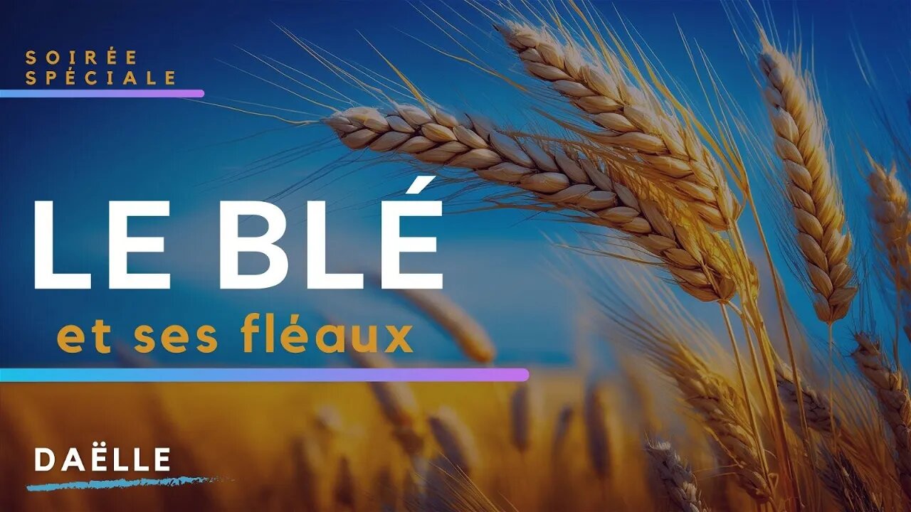 RTA - Le blé et ses fléaux