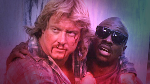 HIGHLIGHTS - PUT ON THE GLASSES