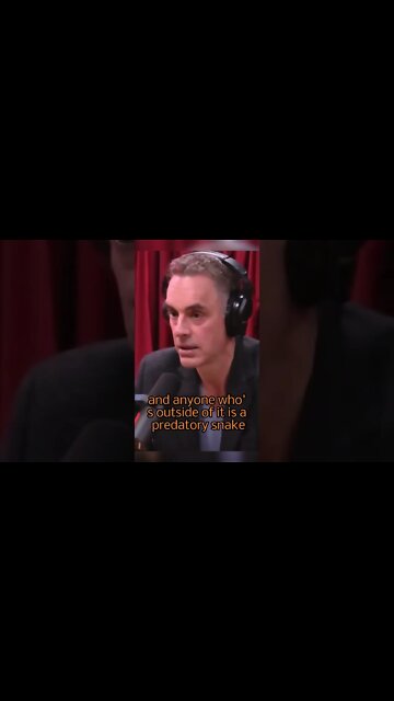 what is the best personality predictor of politically correct belief? Jordan Peterson & Joe Rogan