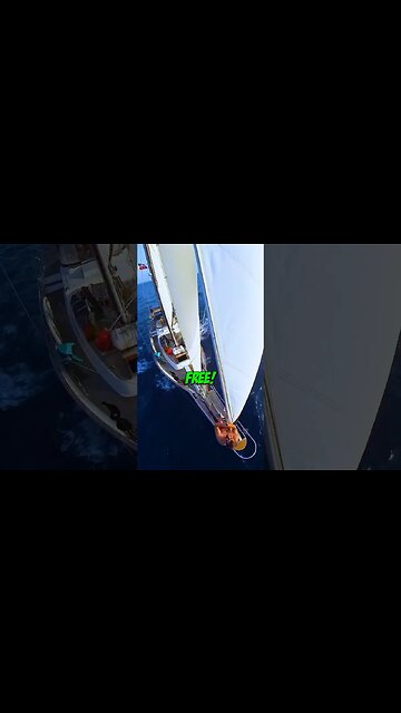 How to Sail a Yacht for FREE!! ⛵️