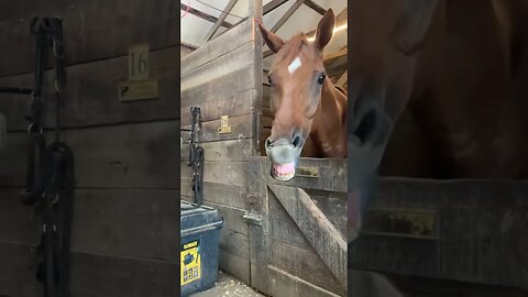 A new “doo” for Apollo